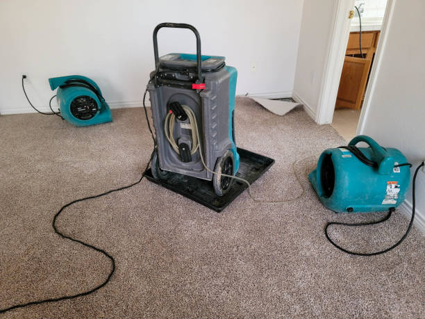 Best 24/7 water damage repair  in Simsbury Center, CT